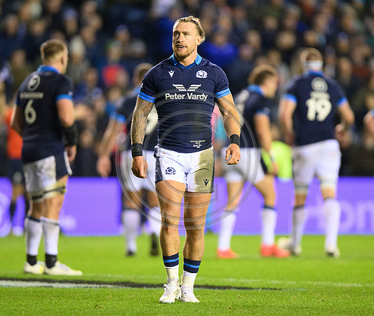 Scotland v Argentina