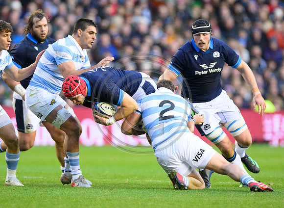 Scotland v Argentina