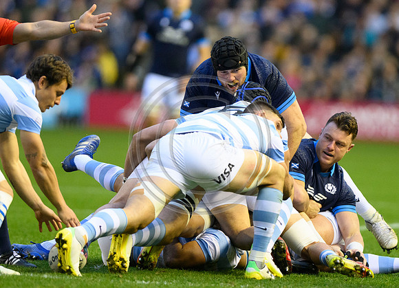 Scotland v Argentina