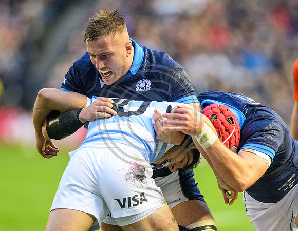 Scotland v Argentina