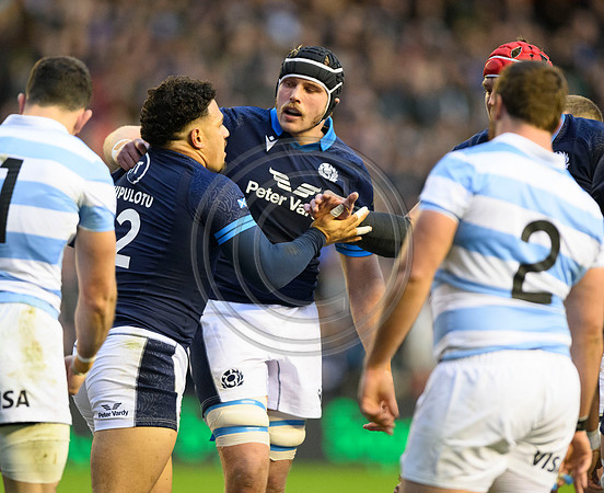 Scotland v Argentina