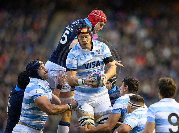 Scotland v Argentina