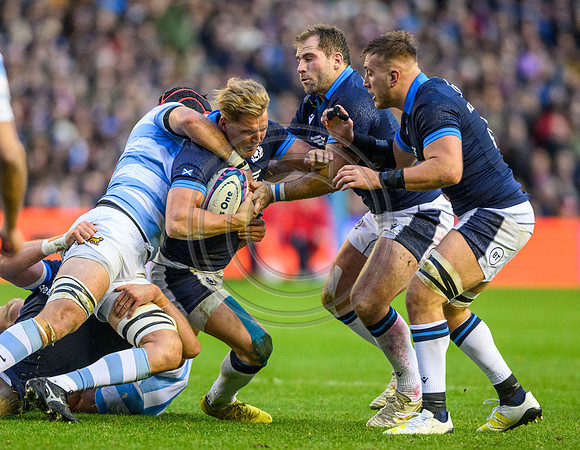 Scotland v Argentina