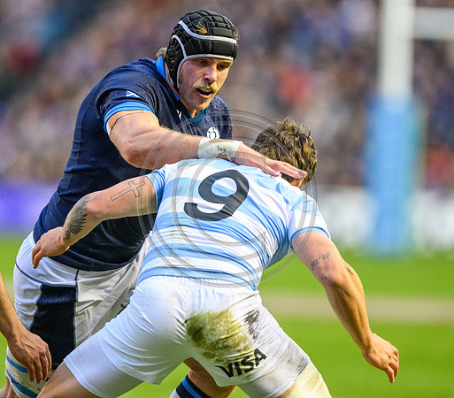 Scotland v Argentina