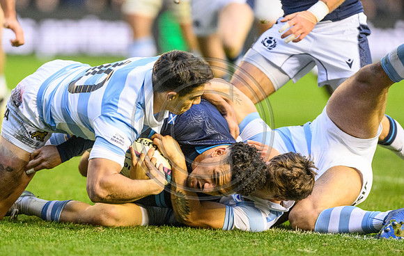 Scotland v Argentina