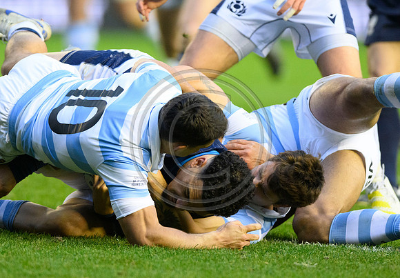 Scotland v Argentina