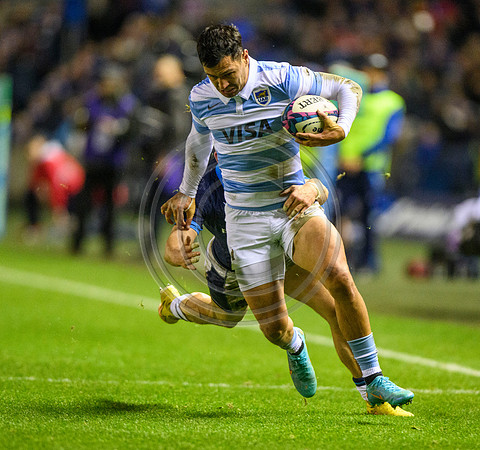 Scotland v Argentina