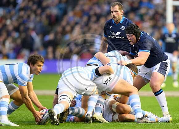 Scotland v Argentina