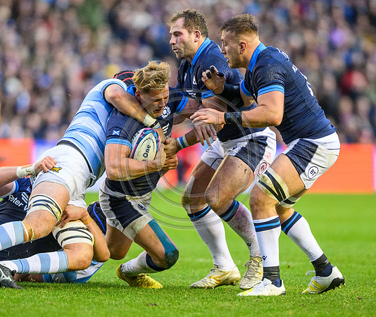 Scotland v Argentina