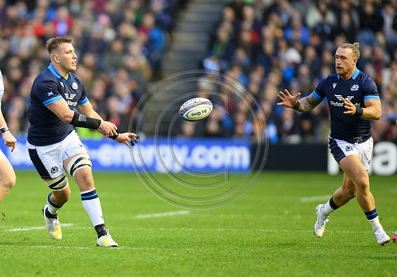 Scotland v Argentina