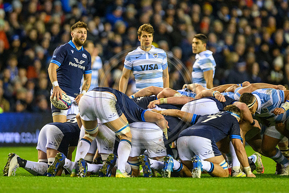 Scotland v Argentina