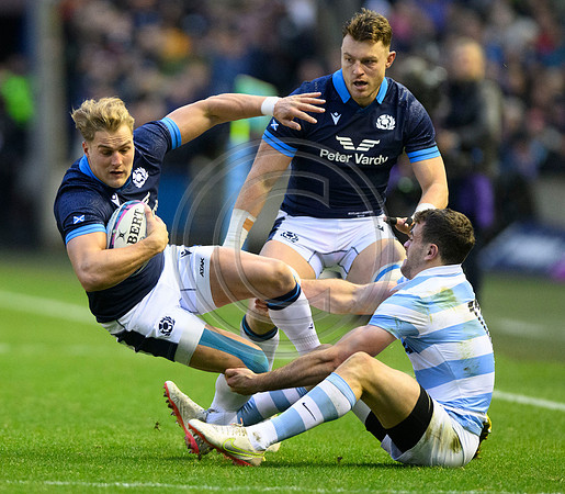 Scotland v Argentina