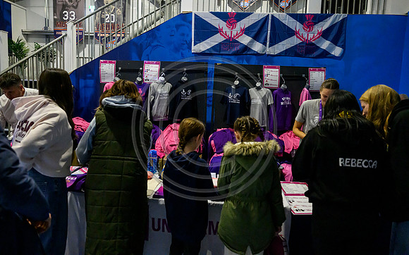 Scotland v New Zealand