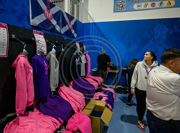Scotland v New Zealand