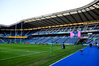 Scotland v Argentina