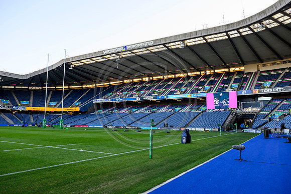 Scotland v Argentina
