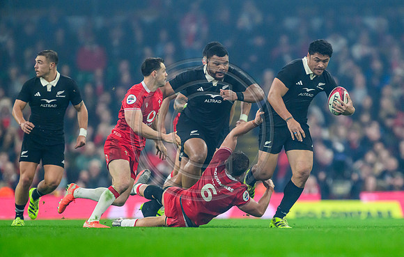 Wales v New Zealand
