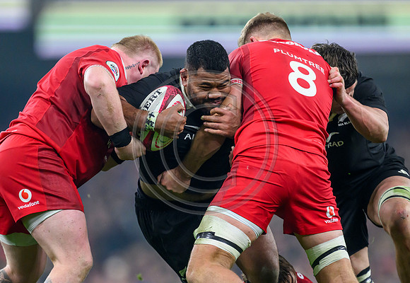 Wales v New Zealand