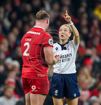 Wales v New Zealand