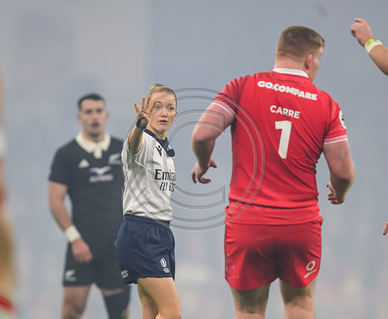 Wales v New Zealand