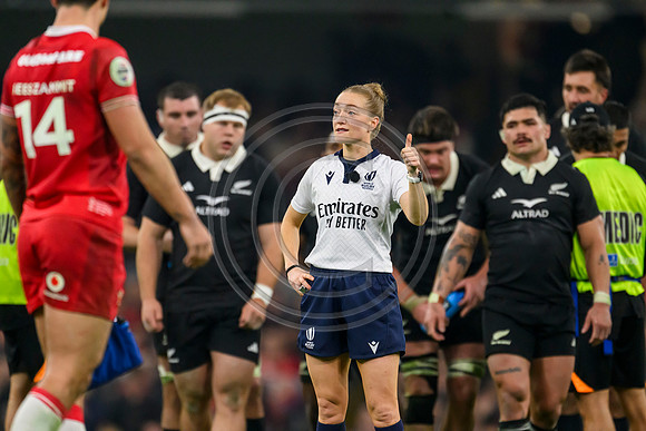 Wales v New Zealand