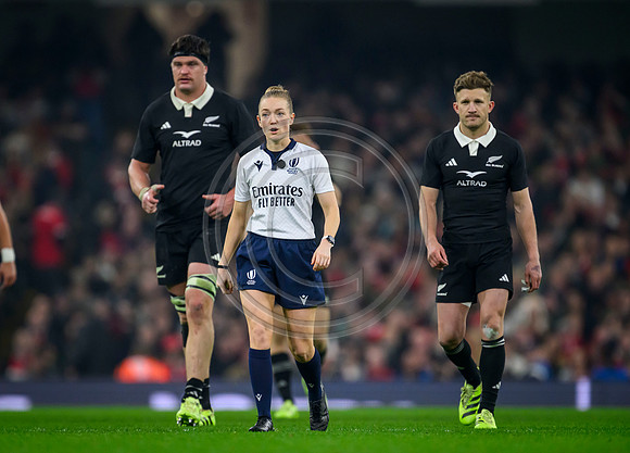 Wales v New Zealand