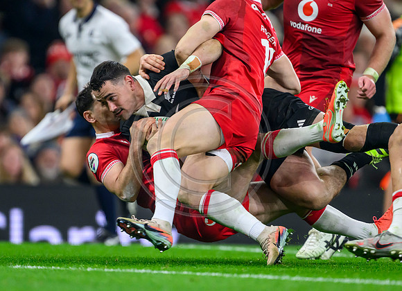 Wales v New Zealand