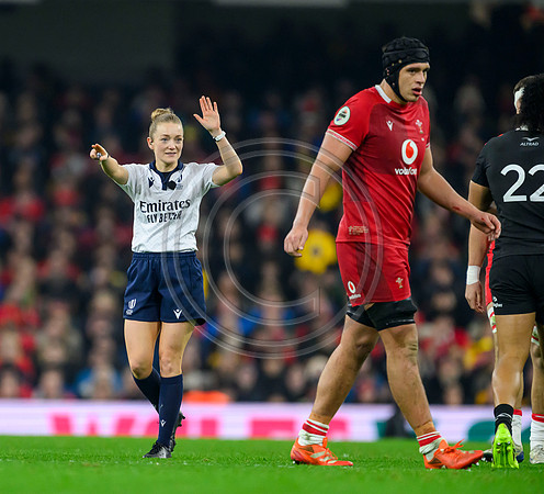 Wales v New Zealand