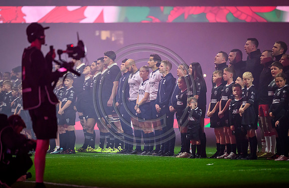 Wales v New Zealand