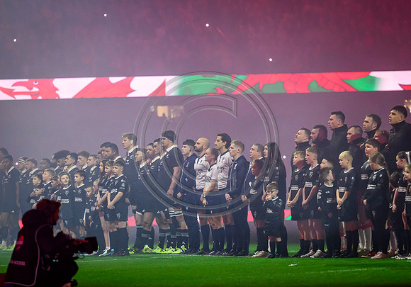 Wales v New Zealand