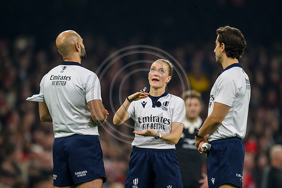 Wales v New Zealand