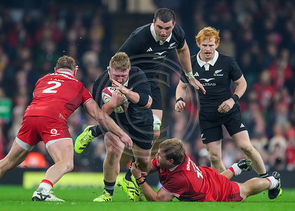 Wales v New Zealand