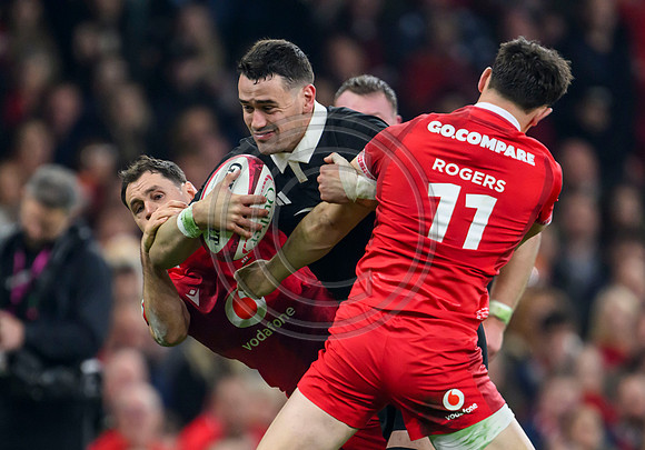 Wales v New Zealand