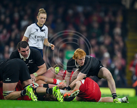Wales v New Zealand