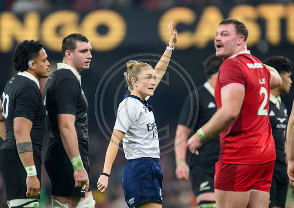 Wales v New Zealand