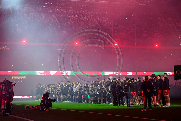 Wales v New Zealand