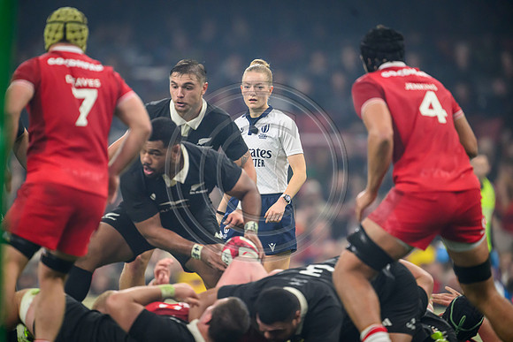 Wales v New Zealand