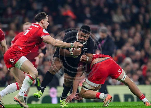 Wales v New Zealand