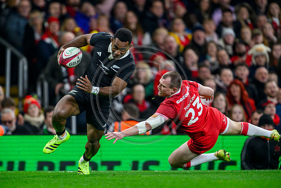 Wales v New Zealand