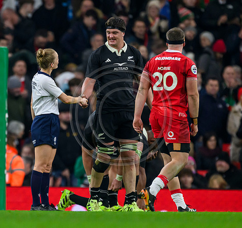 Wales v New Zealand