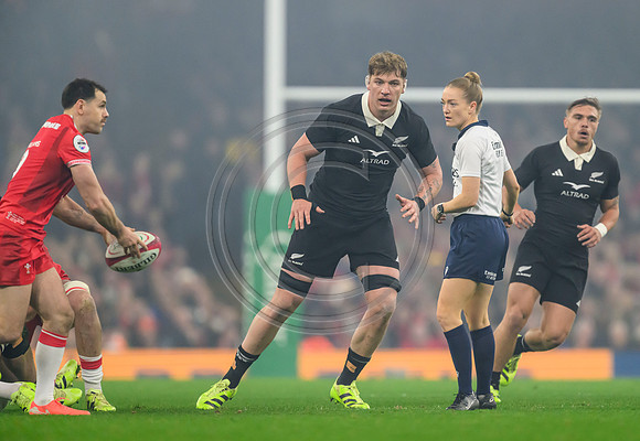 Wales v New Zealand