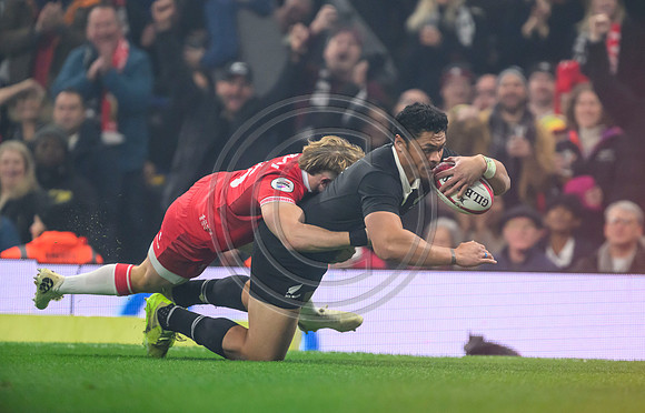Wales v New Zealand