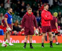 Wales v New Zealand