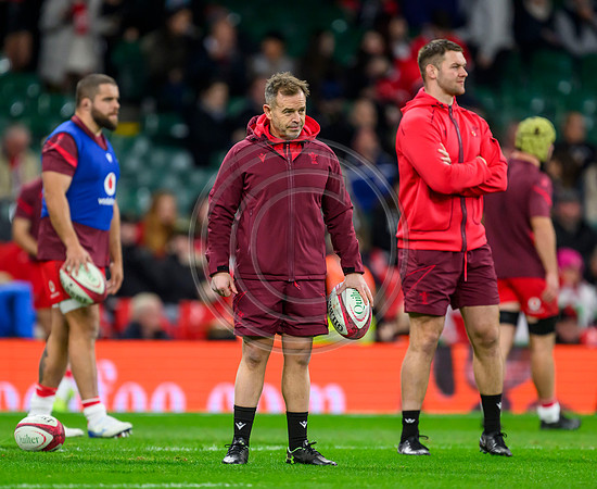 Wales v New Zealand