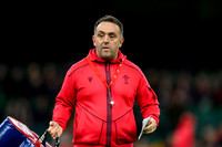 Wales v New Zealand