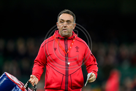 Wales v New Zealand