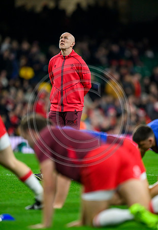 Wales v New Zealand