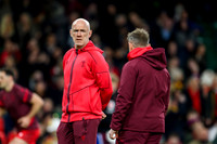 Wales v New Zealand