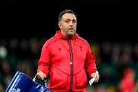 Wales v New Zealand