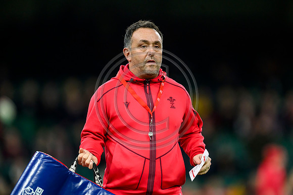 Wales v New Zealand
